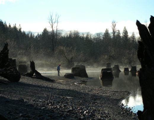A lone treasure seeker searches for signs of the lost town of Moncton amongst the stumps and mist of Rattlesnake Lake.